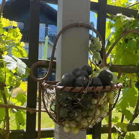 Sauerland Blick Apartamento *