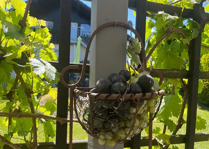 Sauerland Blick Apartment *